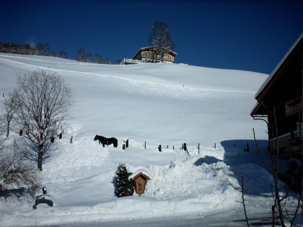 Villa Viehhofbauer Maria Alm am Steinernen Meer Exterior foto